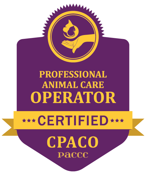 K9 Activity Club award and certification badge — Sonoma County dog care