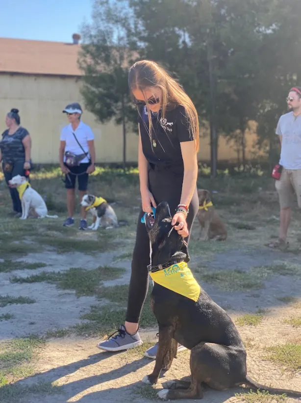 Dog training at K9 Activity Club in Santa Rosa, CA